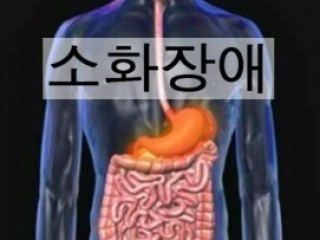 소화장애 - "할머니손은 약손" 과학적 근거 있다