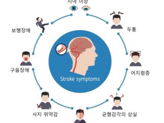 뇌졸증 응급처치