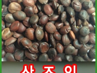 불면증, `신비의 약' 산조인(멧대추씨)