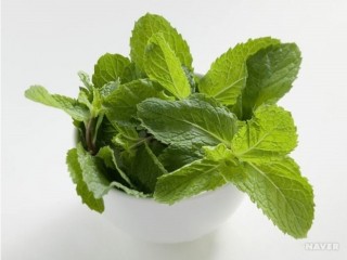 새벽에 우는 아이 - 박하잎 효과