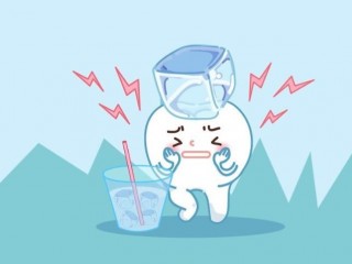 치아 - 씹고, 끊고, 부수고...바위같은 단단함