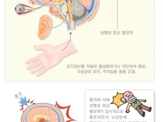 두피상처와 뇌진탕