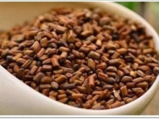 결명자 - 안과 질환에 효과