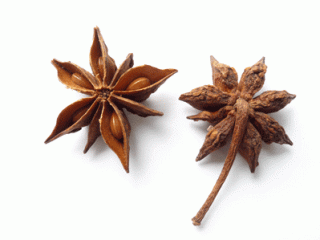 회향(소회향)-위를 튼튼하게