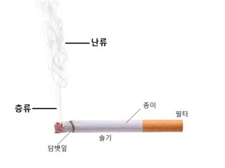 어린아이가 담배를 먹었을 때