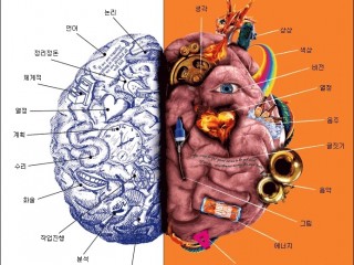 우뇌 활용하면 스트레스 "싹~" .. 두뇌 건강 관리법