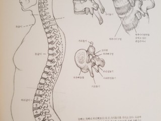 자연, 인체를 어떻게 보나(1)
