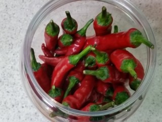 탈모 - 고추술, 새앙즙으로 마사지