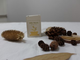 홍경천-인삼을 능가하는 강장제