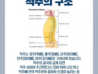 척추질환 잘못된 상식들 - 누워만 있는건 잘못, 움직여야...