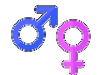 남성 - 신비 가득한 생명의 뿌리