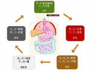 오장육부가 조화를 이뤄야 건강하다.