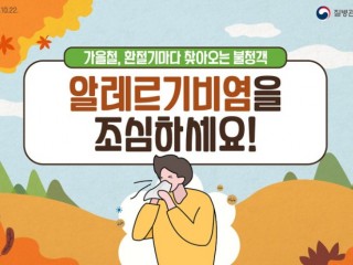 알레르기 비염의 원인과 치료