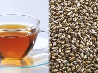 입냄새엔 결명자 달인물 효과