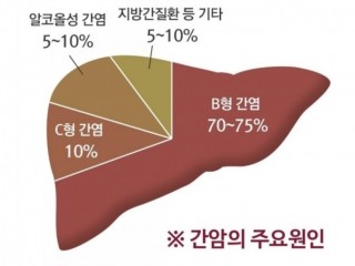 간염은 혈액통해 전염된다