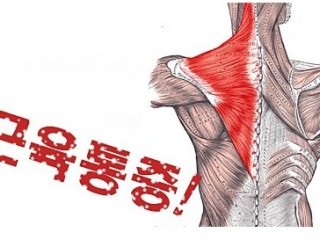 건강수첩-근육통증
