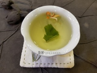 기침 - 오미자, 상백피茶 효과