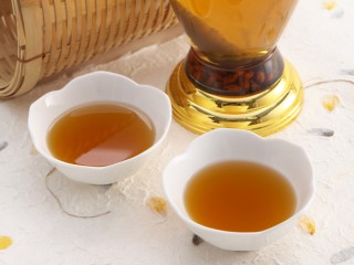 한방약술의 개요