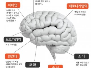 머리부상으로 뇌손상이 의심되면